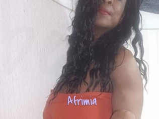 afrimia Beurette Amatrice