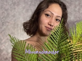 Allisonschneider