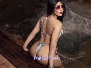 Amberbush