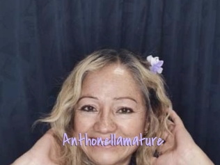 Anthonellamature