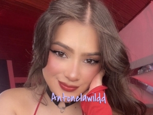 Antonelawildd