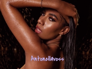 Antonellavoss