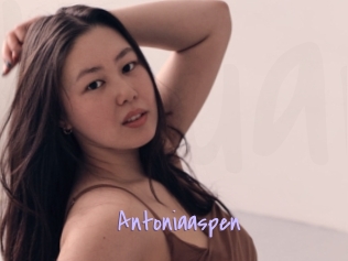 Antoniaaspen