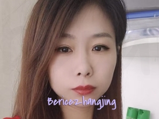 Bericezhangjing