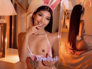 Demibush