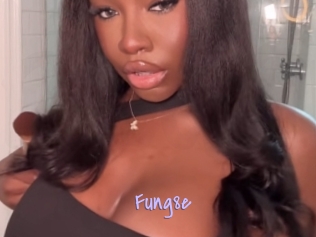 Fung8e