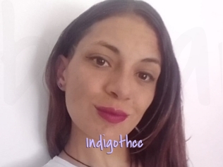 Indigothcc
