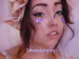 Lavendergrey