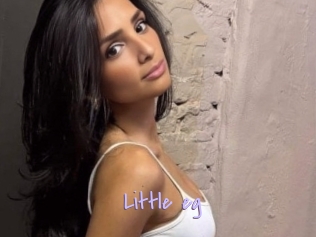 Little_eg