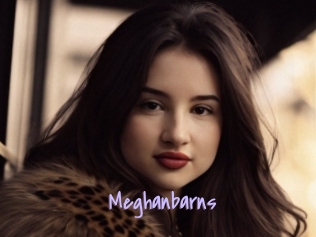 Meghanbarns