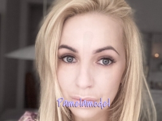 Pamelamodel