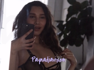 Paynadiavixen