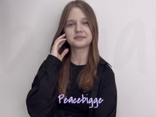 Peacebigge