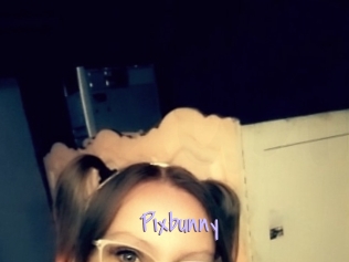 Pixbunny