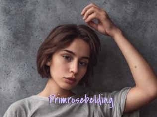 Primrosebelding