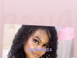 Sashhalux22
