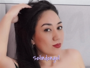 Selindongel