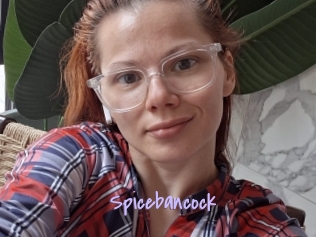 Spicebancock