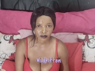 Wildkitten