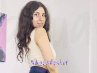 Wiloneballester