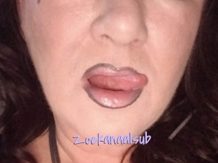 Zoekanaalsub